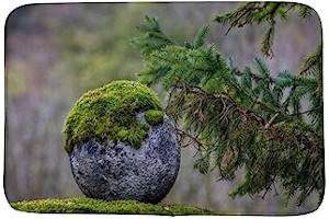 61sZX4CY9yL._AC_UL320_