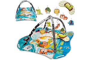 81Y9EGut3VL._AC_UL320_