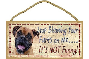 81ZDPLJuWuL._AC_UL320_