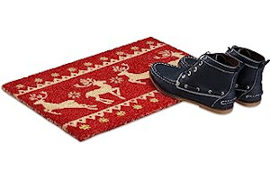 81mOysa4q-S._AC_UL320_