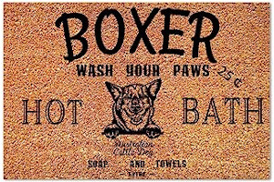 81p7C6-fskL._AC_UL320_