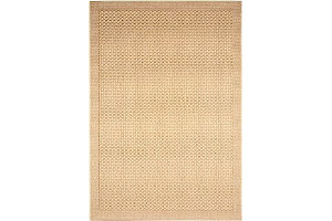 A1FbXjTPqaL._AC_UL320_